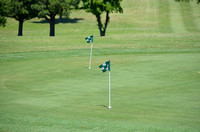 Rotary Golf Tournament 2013