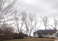 Stoddard County Storm, February 29, 2012