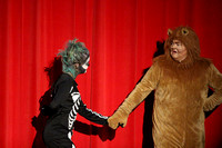 DHS Wizard of Oz November 18, 2016 Performance