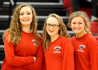 DHS vs Fredericktown Volleyball 2014