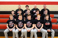 DHS Wrestlers State Bound February 2019