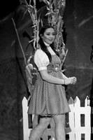 DHS Wizard of Oz November 17, 2016 Performance